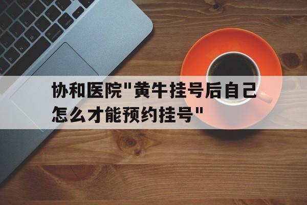 包含協(xié)和醫(yī)院"黃牛掛號后自己怎么才能預(yù)約掛號"的詞條