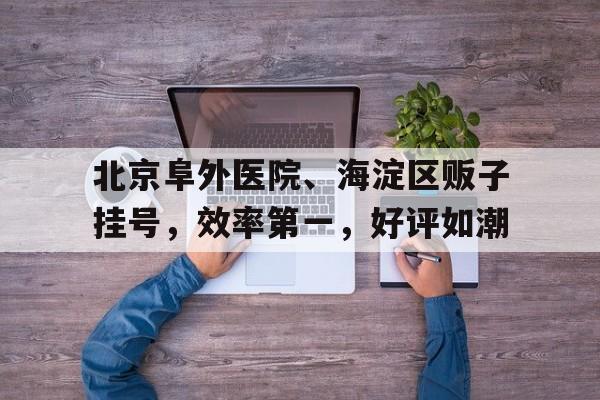包含北京阜外醫院、海淀區販子掛號，效率第一，好評如潮的詞條