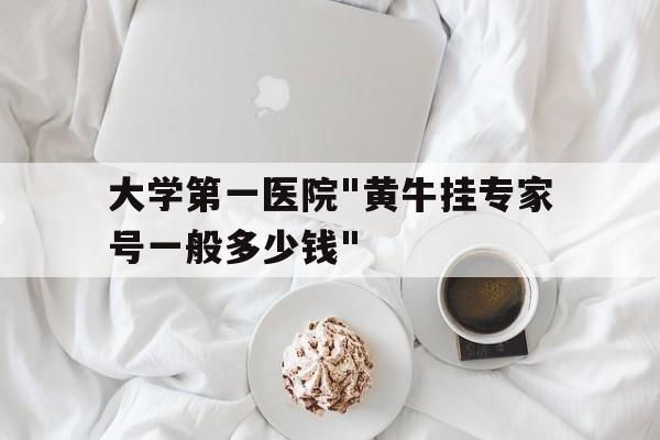 包含大學第一醫院"黃牛掛專家號一般多少錢"的詞條