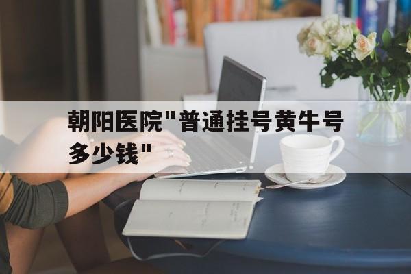 關于朝陽醫院"普通掛號黃牛號多少錢"的信息