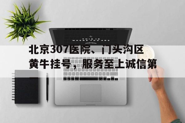北京307醫院、門頭溝區黃牛掛號，服務至上誠信第一的簡單介紹